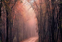 在天涯社区情感天地的性话题中，大家一起来聊聊那些心事吧！