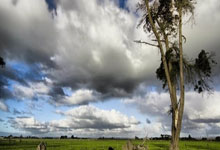 嗯，有什么新鲜事非得去华为手机论坛问一问不可！不过你要是想找点乐子，那只能是去天涯社区坐坐了。这两处简直是两个平行世界，但都能让你找到归属感。