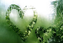 哇，探索天涯社区美女真人秀的爆红内幕！